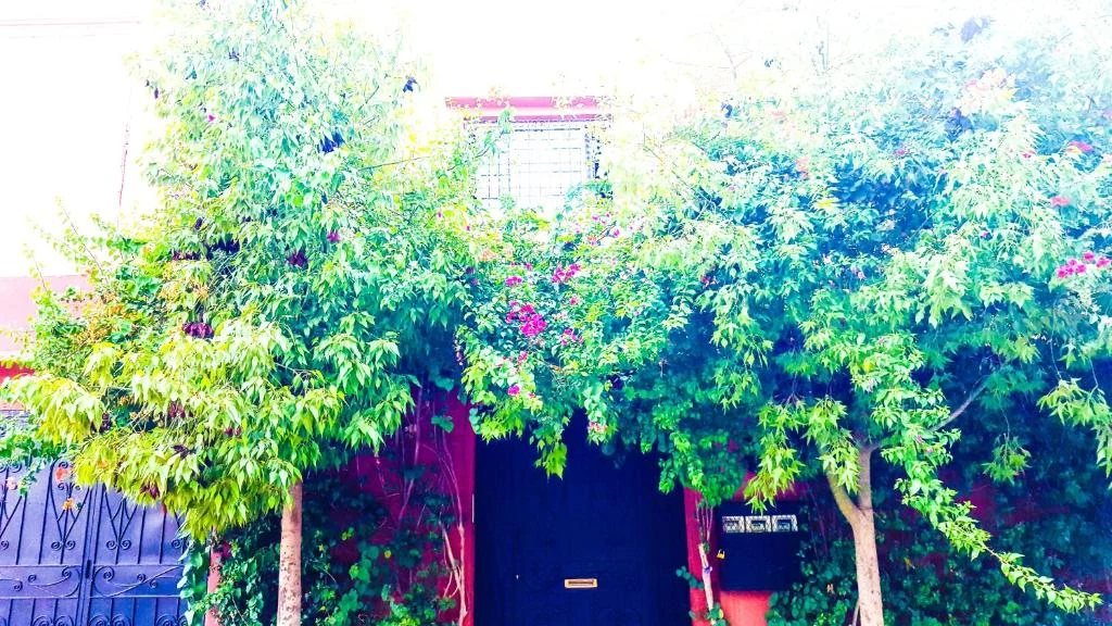 Garden entrance surrounded by greenery at Villa Annakhil Marrakech